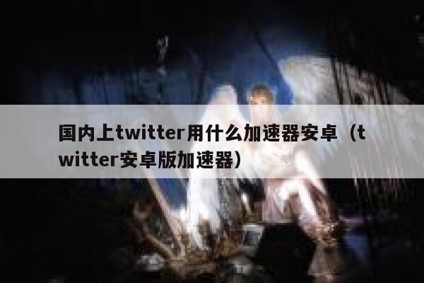国内上twitter用什么加速器安卓(twitter安卓版加速器) 第1张 国内上twitter用什么加速器安卓(twitter安卓版加速器) 第1张