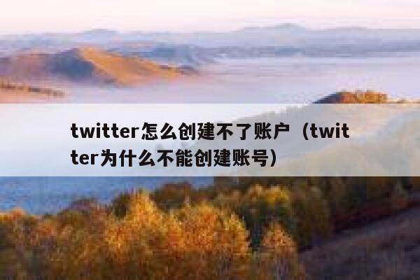 twitter怎么创建不了账户（twitter为什么不能创建账号） 第1张
