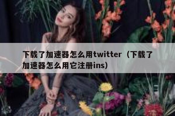 下载了加速器怎么用twitter（下载了加速器怎么用它注册ins） 第1张