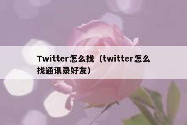 Twitter怎么找（twitter怎么找通讯录好友） 第1张