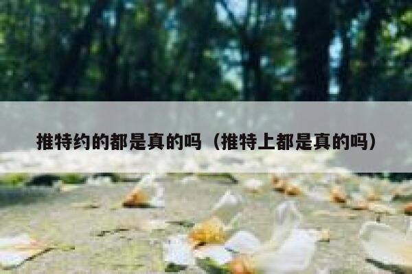 推特约的都是真的吗(推特上都是真的吗) 第1张 推特约的都是真的吗(推特上都是真的吗) 第1张