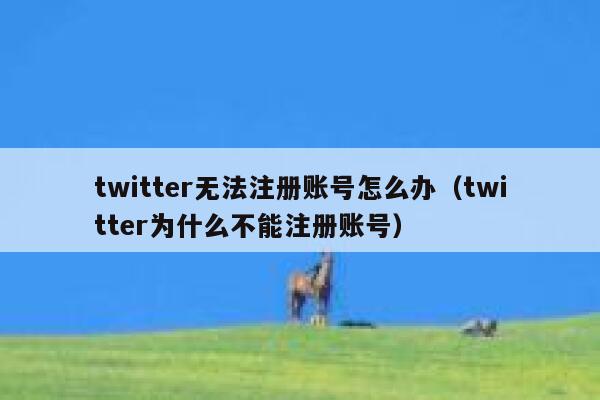 twitter无法注册账号怎么办(twitter为什么不能注册账号) 第1张 twitter无法注册账号怎么办(twitter为什么不能注册账号) 第1张