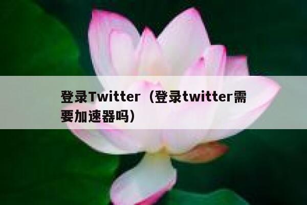 登录Twitter（登录twitter需要加速器吗） 第1张