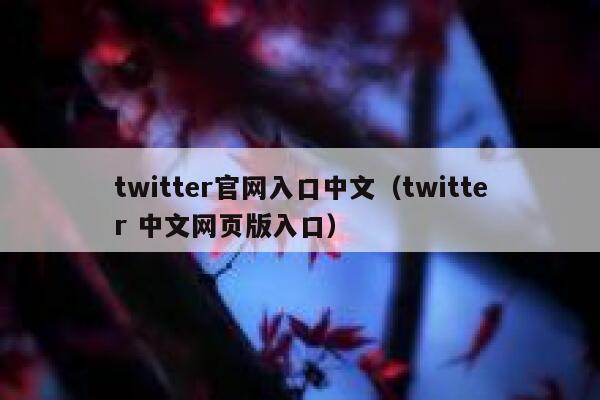twitter官网入口中文(twitter 中文网页版入口) 第1张 twitter官网入口中文(twitter 中文网页版入口) 第1张