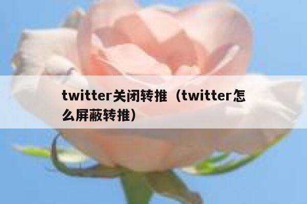 twitter关闭转推(twitter怎么屏蔽转推) 第1张 twitter关闭转推(twitter怎么屏蔽转推) 第1张