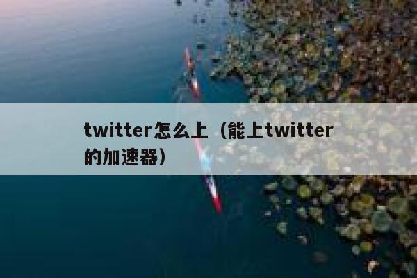 twitter怎么上(能上twitter的加速器) 第1张 twitter怎么上(能上twitter的加速器) 第1张