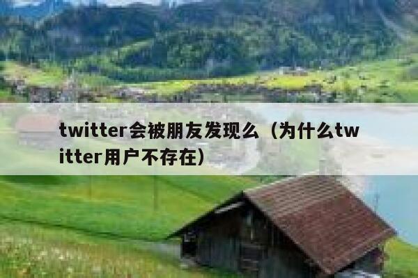 twitter会被朋友发现么(为什么twitter用户不存在) 第1张 twitter会被朋友发现么(为什么twitter用户不存在) 第1张