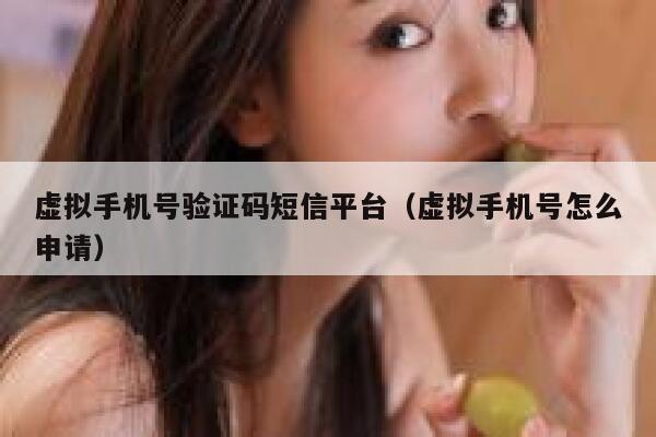 虚拟手机号验证码短信平台（虚拟手机号怎么申请） 第1张