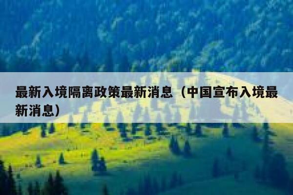 最新入境隔离政策最新消息(中国宣布入境最新消息) 第1张 最新入境隔离政策最新消息(中国宣布入境最新消息) 第1张