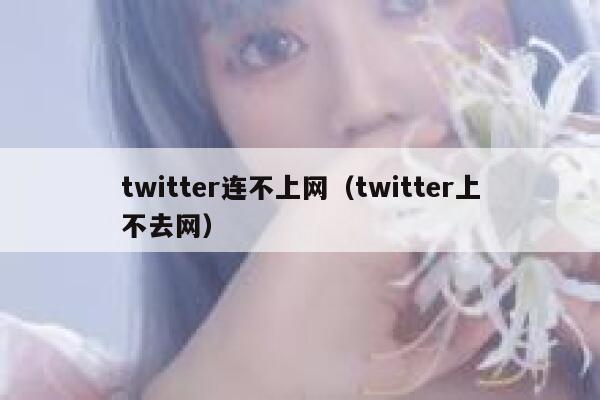 twitter连不上网（twitter上不去网） 第1张