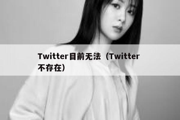 Twitter目前无法（Twitter 不存在） 第1张