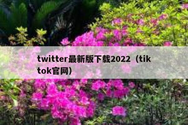 twitter最新版下载2022（tiktok官网） 第1张