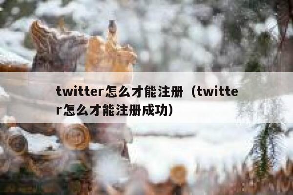 twitter怎么才能注册（twitter怎么才能注册成功） 第1张