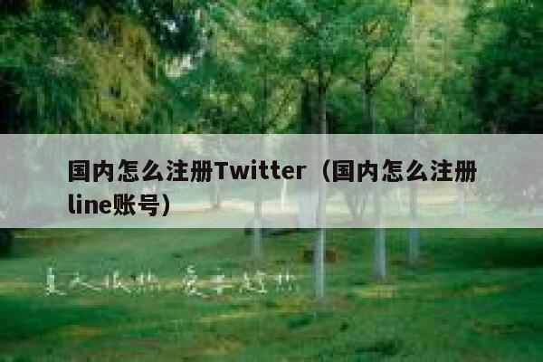 国内怎么注册Twitter（国内怎么注册line账号） 第1张