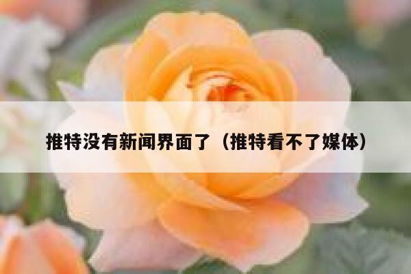 推特没有新闻界面了(推特看不了媒体) 第1张 推特没有新闻界面了(推特看不了媒体) 第1张