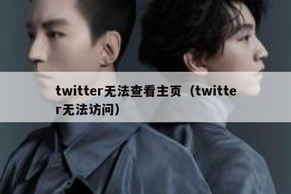 twitter无法查看主页（twitter无法访问） 第1张