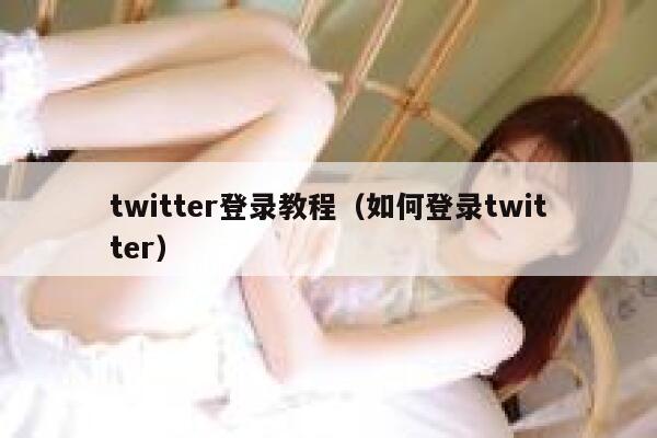twitter登录教程（如何登录twitter） 第1张