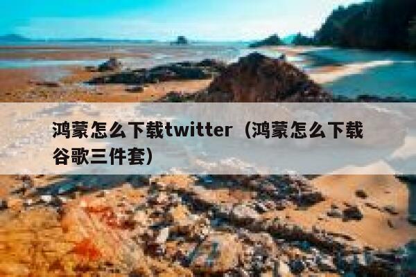 鸿蒙怎么下载twitter（鸿蒙怎么下载谷歌三件套） 第1张