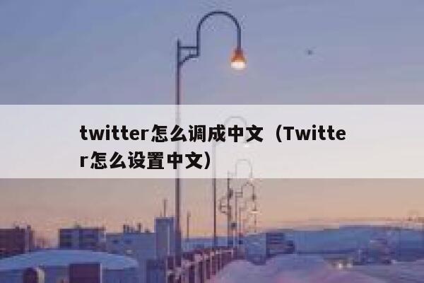 twitter怎么调成中文（Twitter怎么设置中文） 第1张