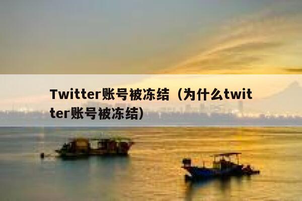 Twitter账号被冻结（为什么twitter账号被冻结） 第1张