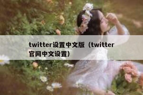 twitter设置中文版（twitter官网中文设置） 第1张