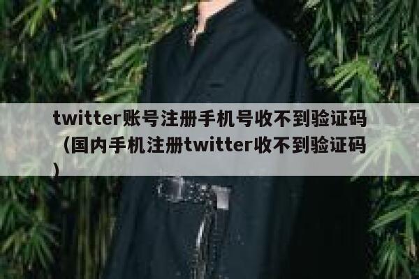 twitter账号注册手机号收不到验证码（国内手机注册twitter收不到验证码） 第1张