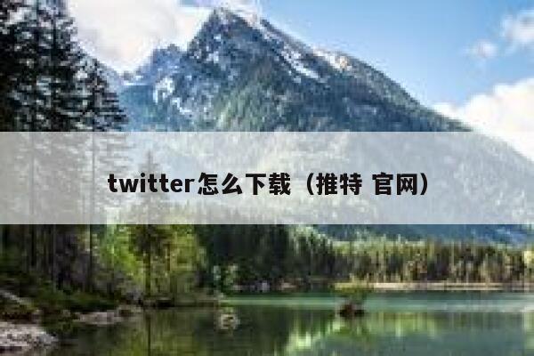 twitter怎么下载(推特 官网) 第1张 twitter怎么下载(推特 官网) 第1张