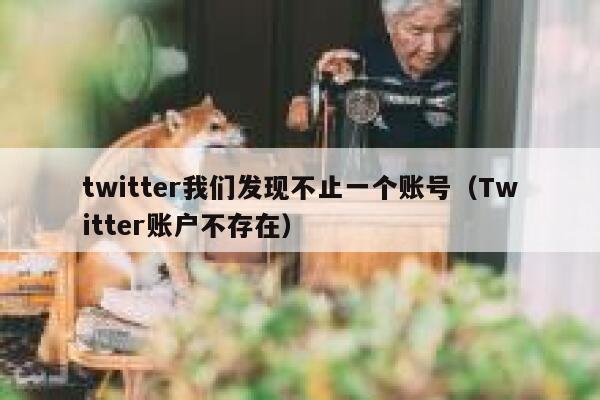 twitter我们发现不止一个账号（Twitter账户不存在） 第1张