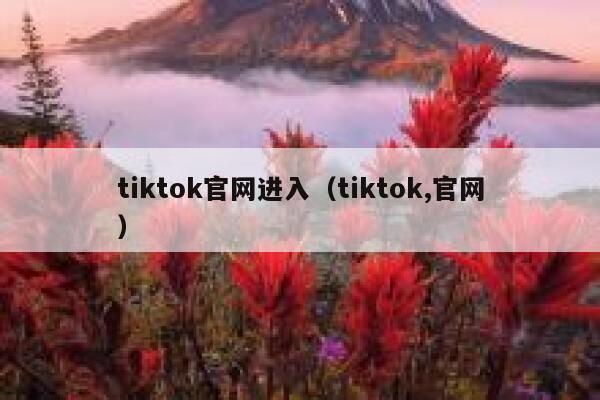 tiktok官网进入（tiktok,官网） 第1张