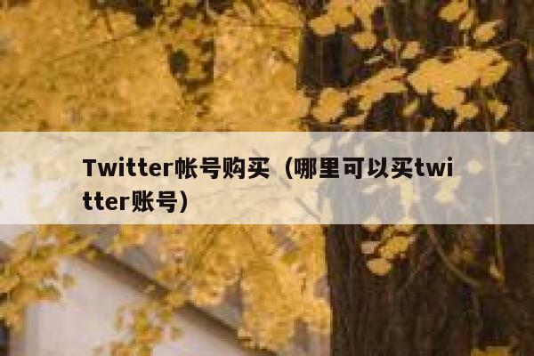 Twitter帐号购买(哪里可以买twitter账号) 第1张 Twitter帐号购买(哪里可以买twitter账号) 第1张
