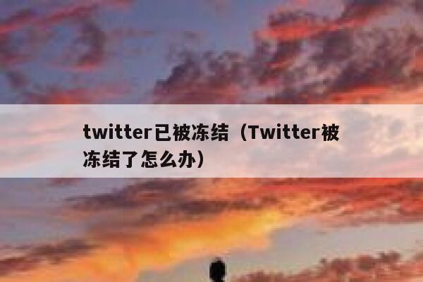 twitter已被冻结(Twitter被冻结了怎么办) 第1张 twitter已被冻结(Twitter被冻结了怎么办) 第1张