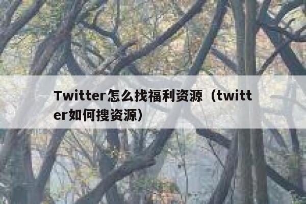 Twitter怎么找福利资源(twitter如何搜资源) 第1张 Twitter怎么找福利资源(twitter如何搜资源) 第1张