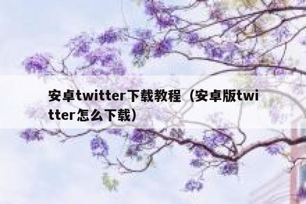 安卓twitter下载教程(安卓版twitter怎么下载) 第1张 安卓twitter下载教程(安卓版twitter怎么下载) 第1张