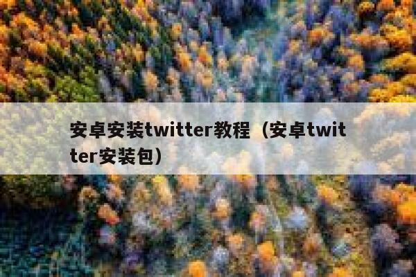 安卓安装twitter教程(安卓twitter安装包) 第1张 安卓安装twitter教程(安卓twitter安装包) 第1张