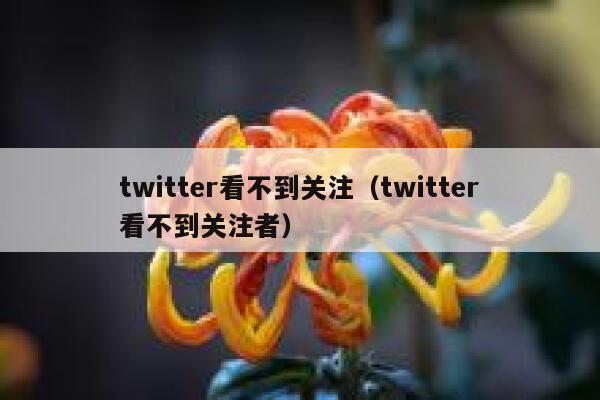 twitter看不到关注（twitter看不到关注者） 第1张