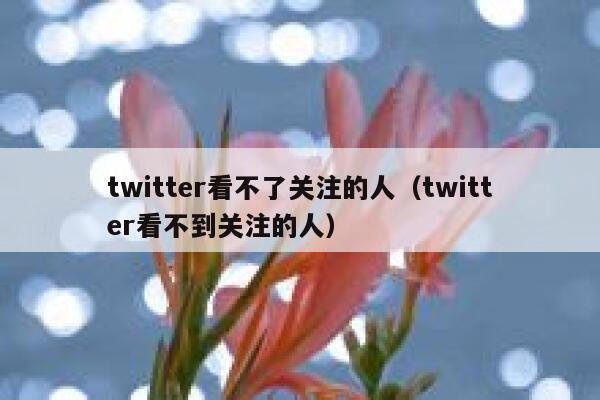 twitter看不了关注的人（twitter看不到关注的人） 第1张