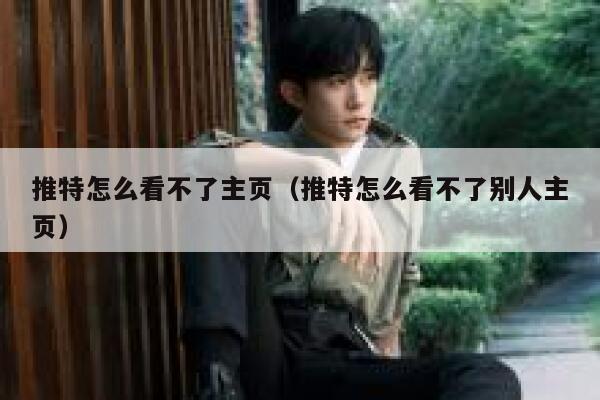 推特怎么看不了主页（推特怎么看不了别人主页） 第1张