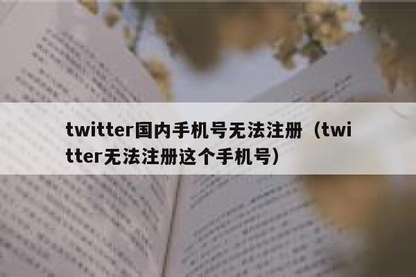 twitter国内手机号无法注册（twitter无法注册这个手机号） 第1张
