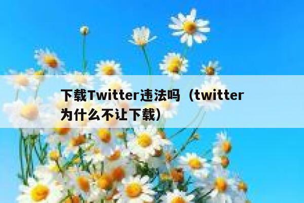 下载Twitter违法吗（twitter为什么不让下载） 第1张