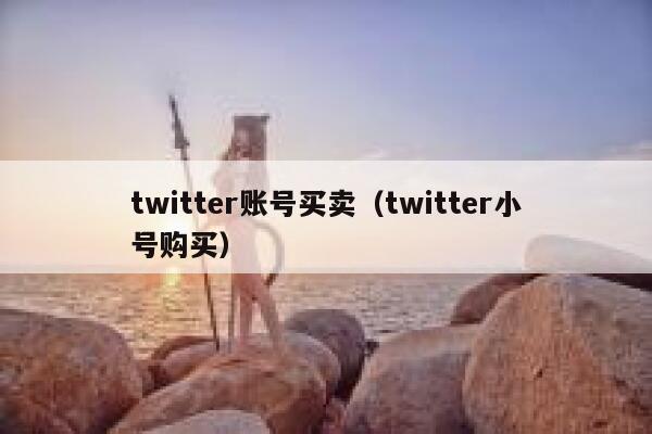 twitter账号买卖（twitter小号购买） 第1张