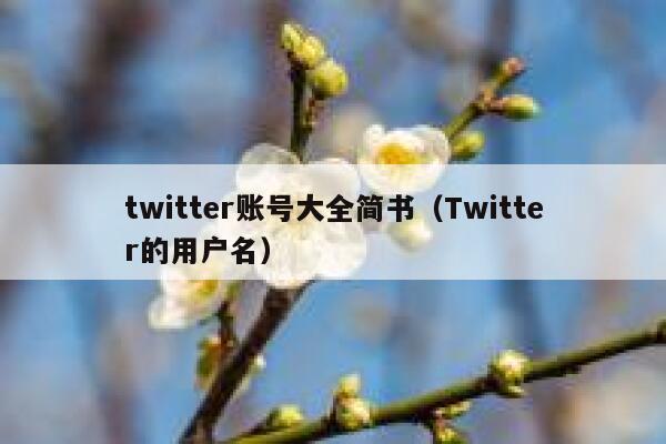 twitter账号大全简书(Twitter的用户名) 第1张 twitter账号大全简书(Twitter的用户名) 第1张