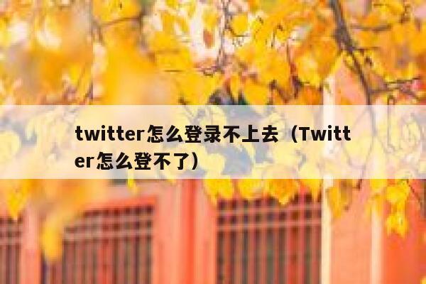 twitter怎么登录不上去（Twitter怎么登不了） 第1张