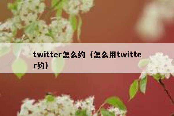twitter怎么约(怎么用twitter约) 第1张 twitter怎么约(怎么用twitter约) 第1张