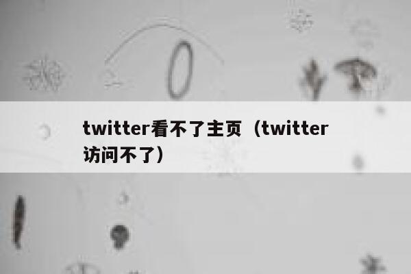 twitter看不了主页(twitter访问不了) 第1张 twitter看不了主页(twitter访问不了) 第1张