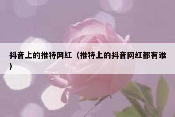 抖音上的推特网红（推特上的抖音网红都有谁） 第1张