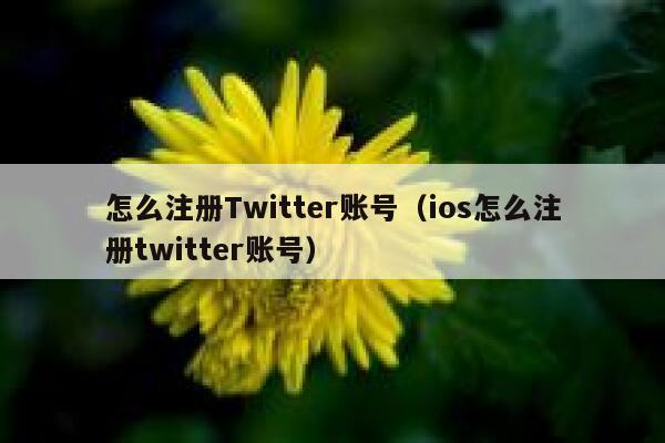 怎么注册Twitter账号（ios怎么注册twitter账号） 第1张