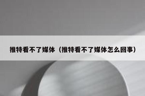 推特看不了媒体（推特看不了媒体怎么回事） 第1张