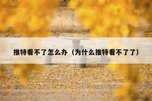 推特看不了怎么办(为什么推特看不了了) 第1张 推特看不了怎么办(为什么推特看不了了) 第1张