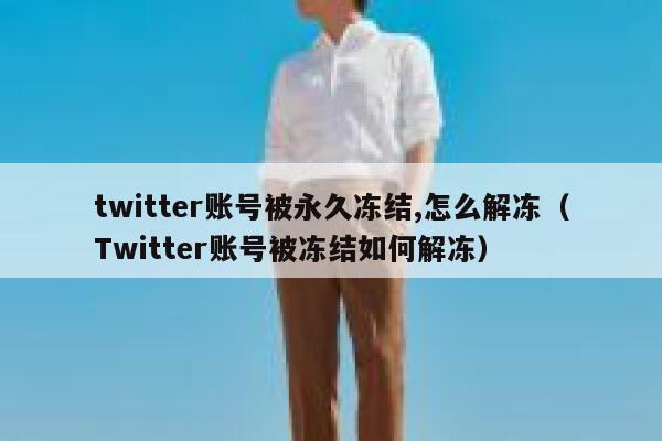 twitter账号被永久冻结,怎么解冻（Twitter账号被冻结如何解冻） 第1张