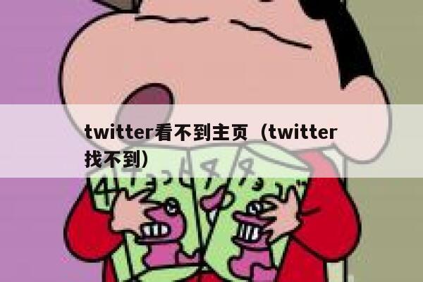 twitter看不到主页(twitter找不到) 第1张 twitter看不到主页(twitter找不到) 第1张